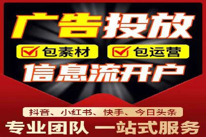 SEM精准广告投放的五大成功案例
